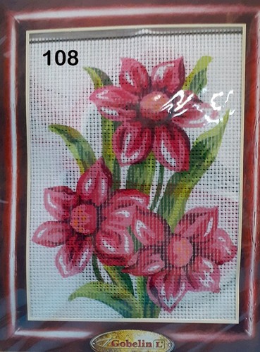 Canovaccio 100 cotone - 100%,
