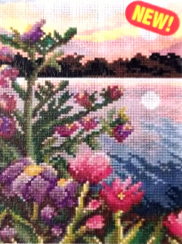 Quadro canovaccio mezzo - mezzo, punto